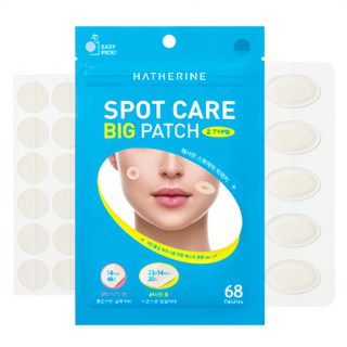 Spot Care Big Patch Kit 68 Patches